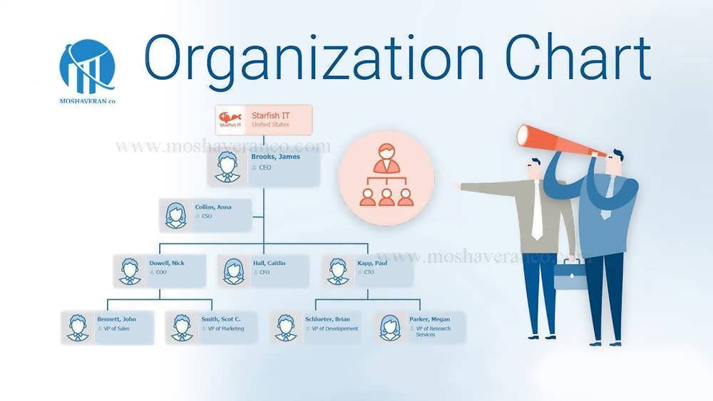 انواع چارت سازمانی